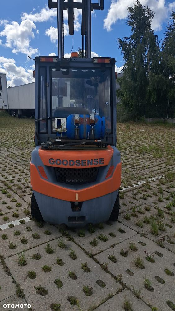 Goodsense FY20 - 2
