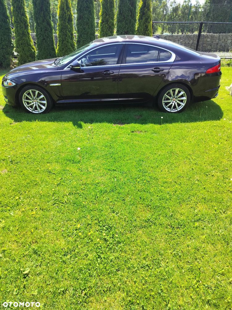 Jaguar XF - 3