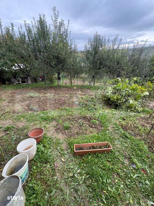 Teren intravilan de vanzare, 556 mp, zona strada Taberei - Imagine principală: 4/4