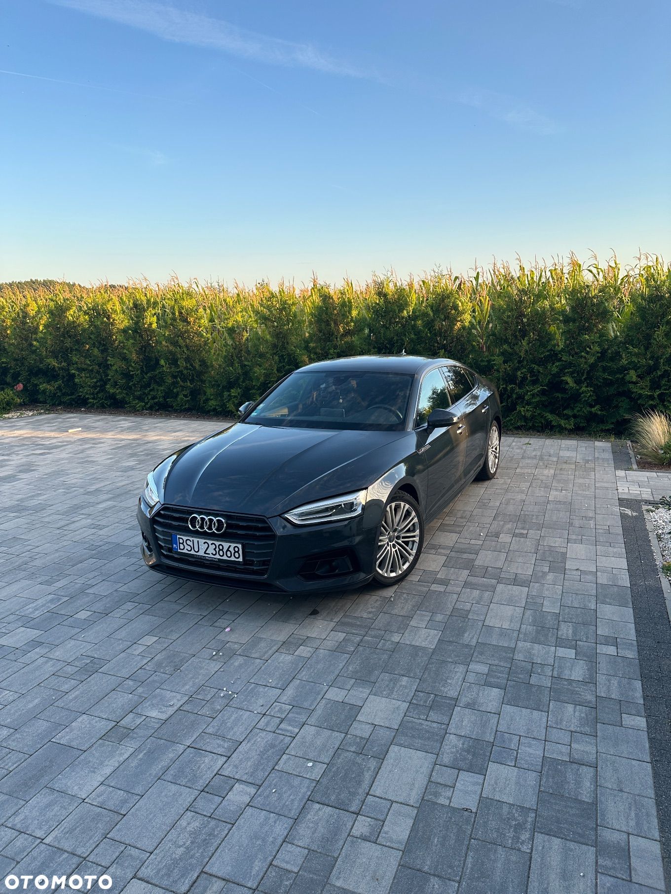 Audi A5 ver-2-0-tfsi-sport-s-tronic - 1