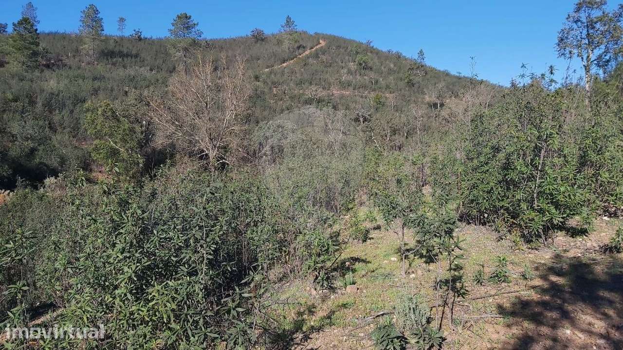 Terreno  para venda - Grande imagem: 2/10