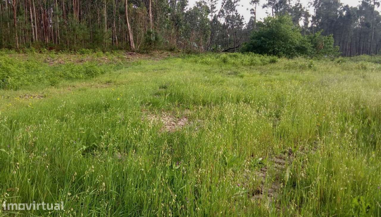 Venda de Terreno de construção com 1.172m², São Pedro de Arcos, Po - Grande imagem: 3/23