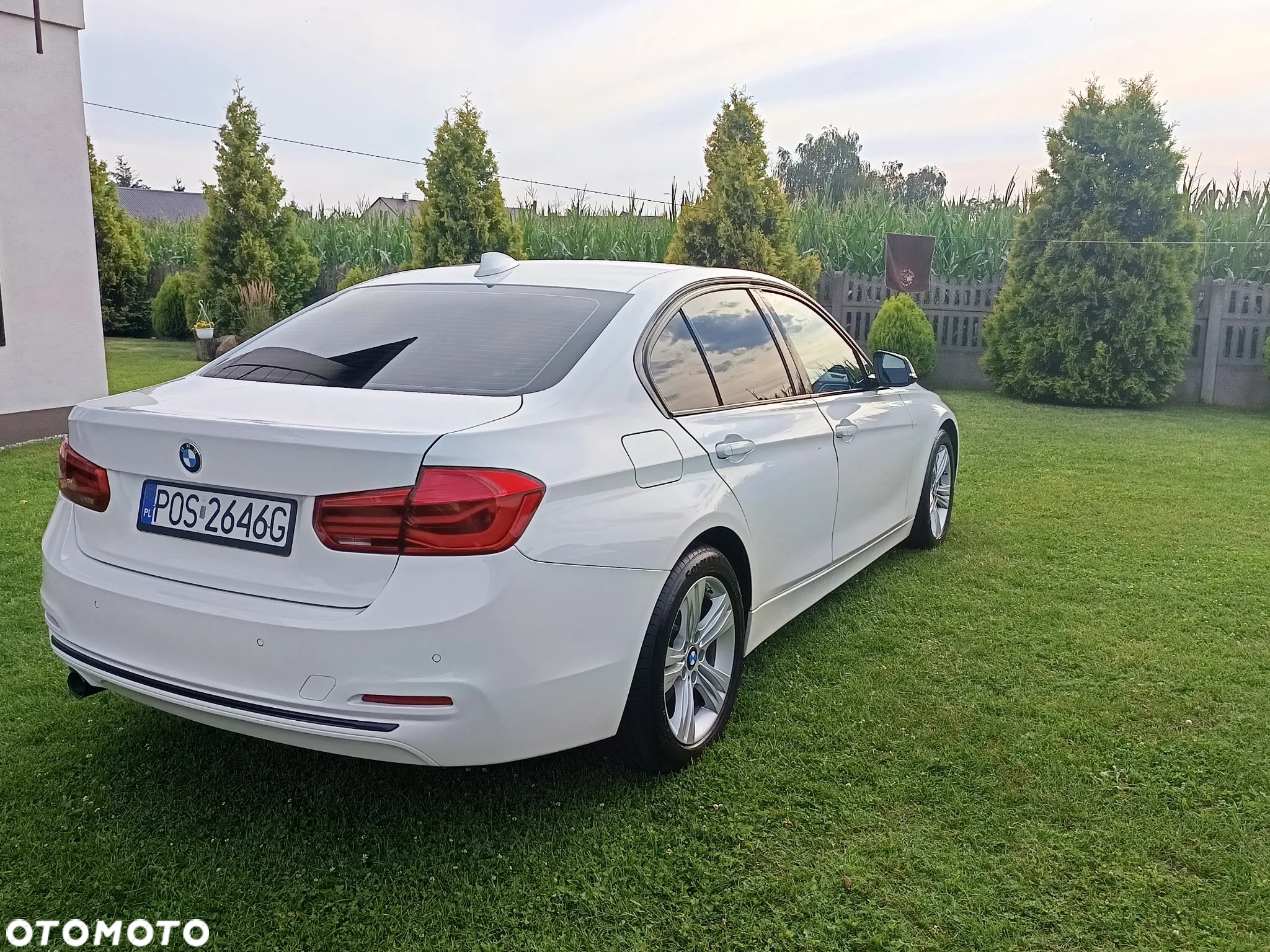 BMW Seria 3 316d M Sport Shadow - 5