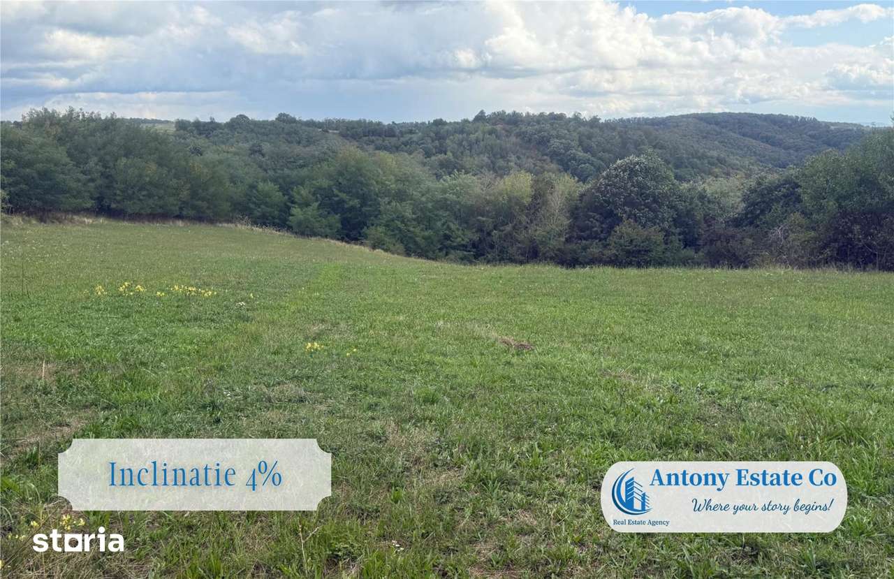 Antony Estate I Teren de vanzare, Uileacu de Cris, Bihor - Imagine principală: 4/5