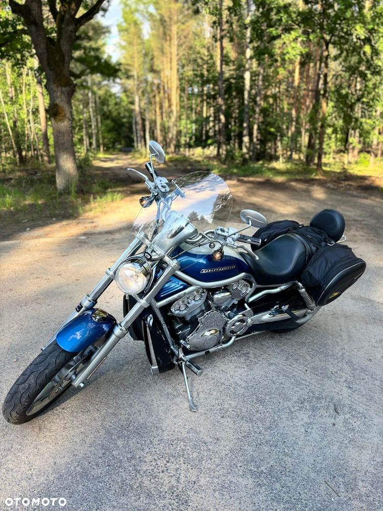 Harley-Davidson V-Rod Street Rod - 10