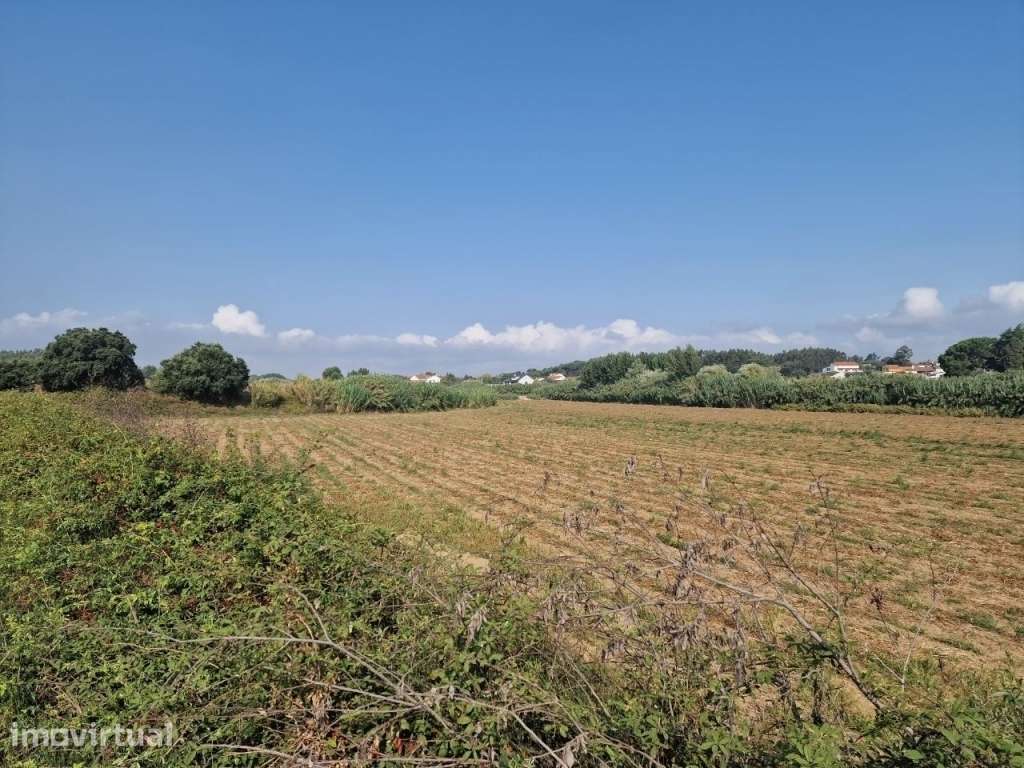 Terreno Agricola em São João da Ribeira - Rio Maior , com 31960m² - Grande imagem: 3/4