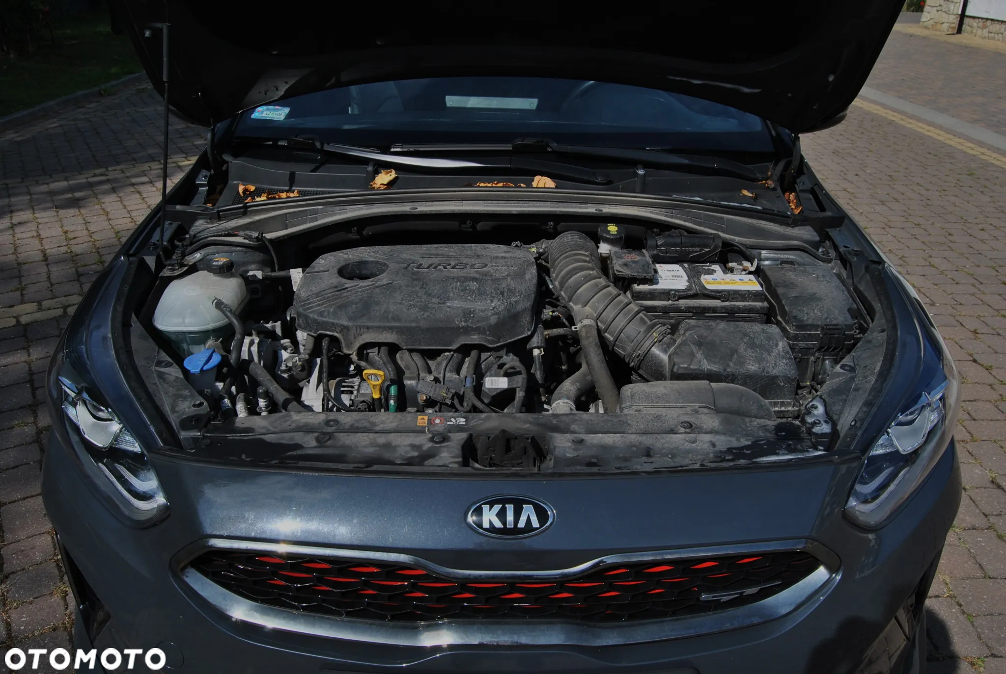 Kia ProCeed 1.6 T-GDI GT DCT - 23