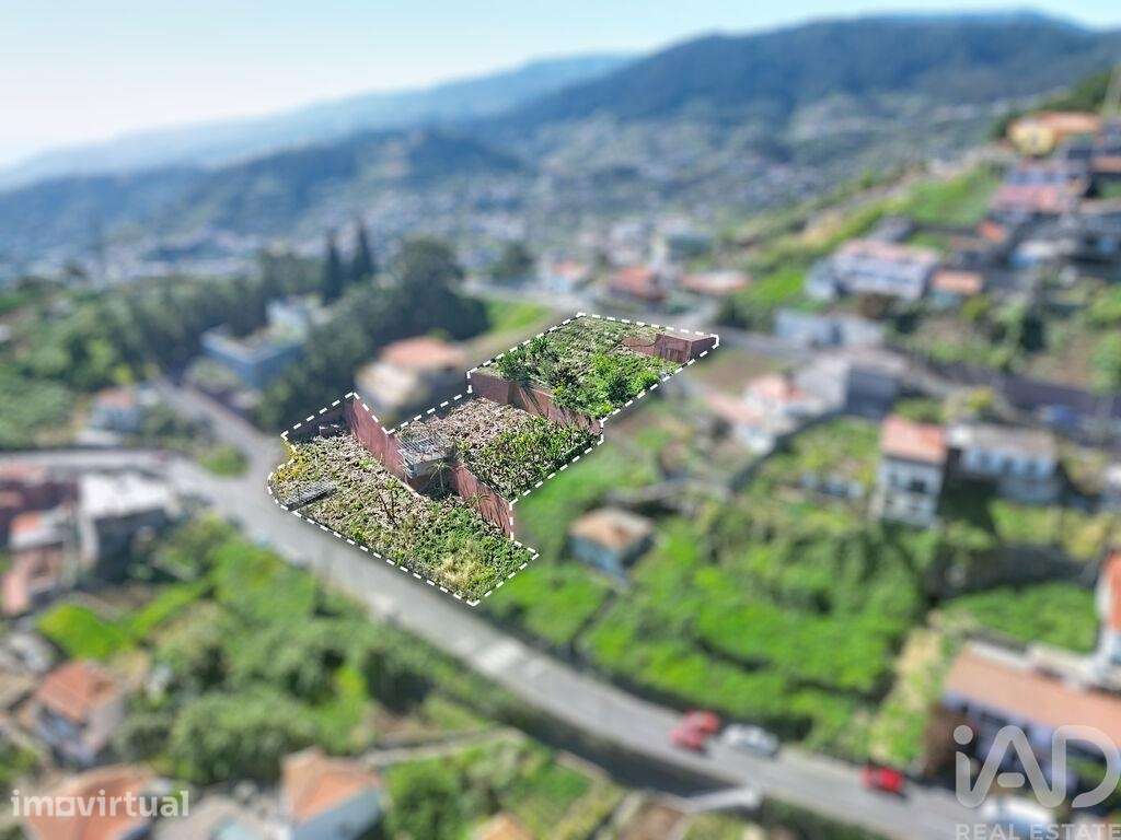 Terreno Agrícola em Câmara de Lobos - Grande imagem: 4/7