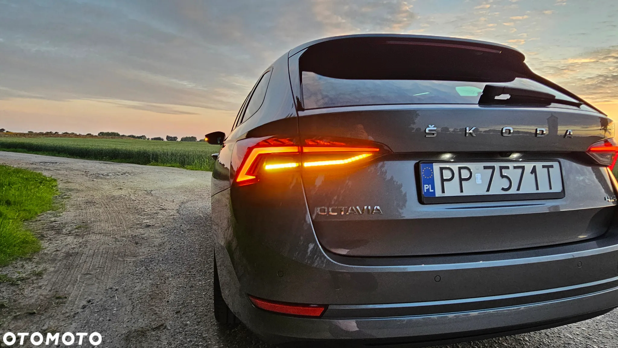 Skoda Octavia 2.0 TSI 4x4 Style DSG - 15