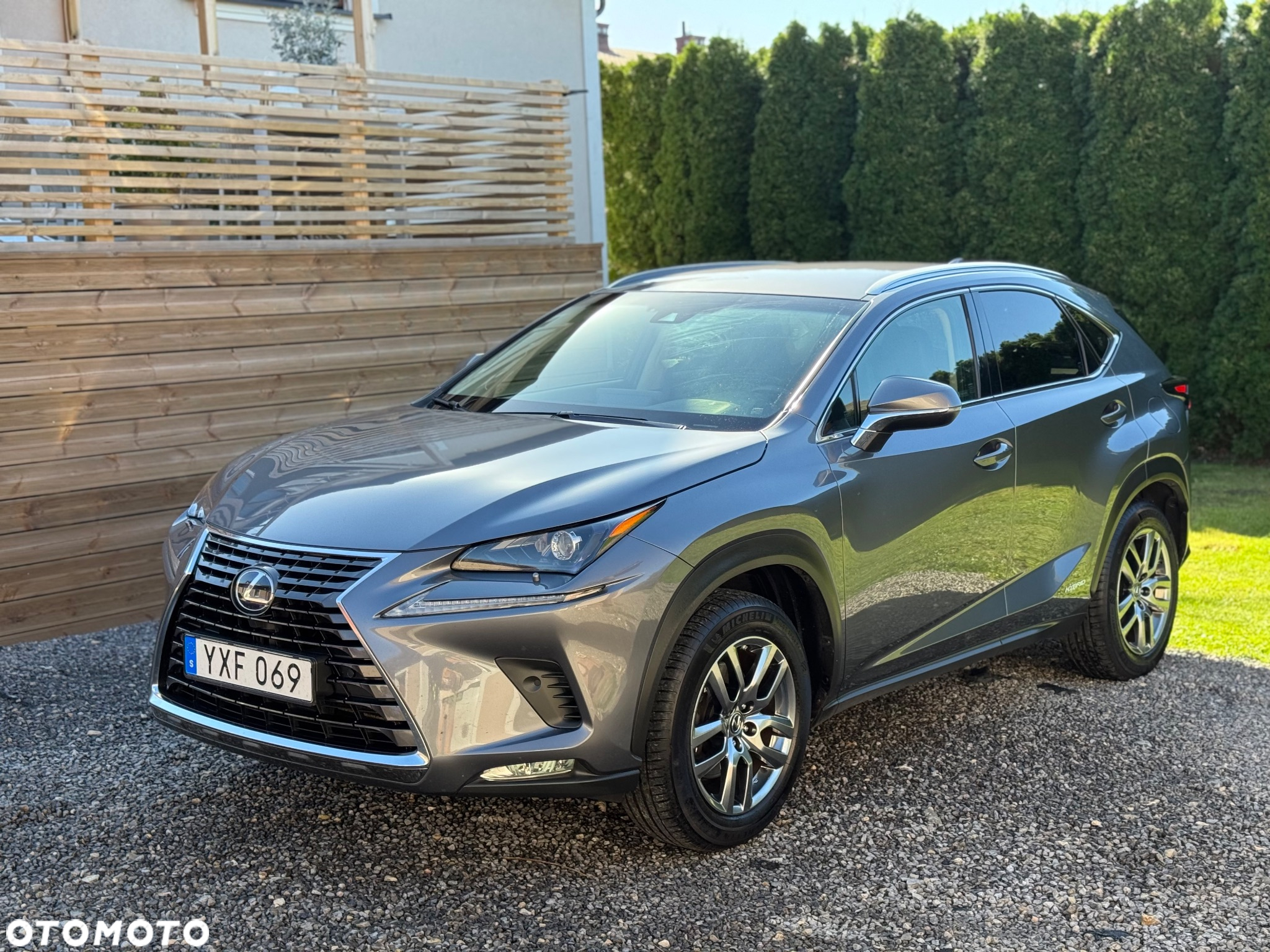 Lexus NX 350h F Sport AWD - 6