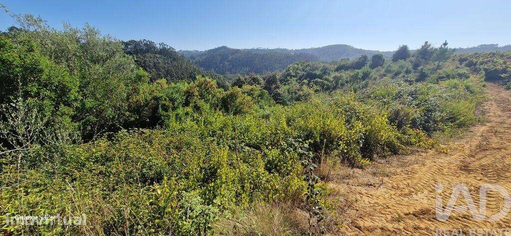 Terreno Agrícola em Azueira e Sobral da Abelheira - Grande imagem: 4/33
