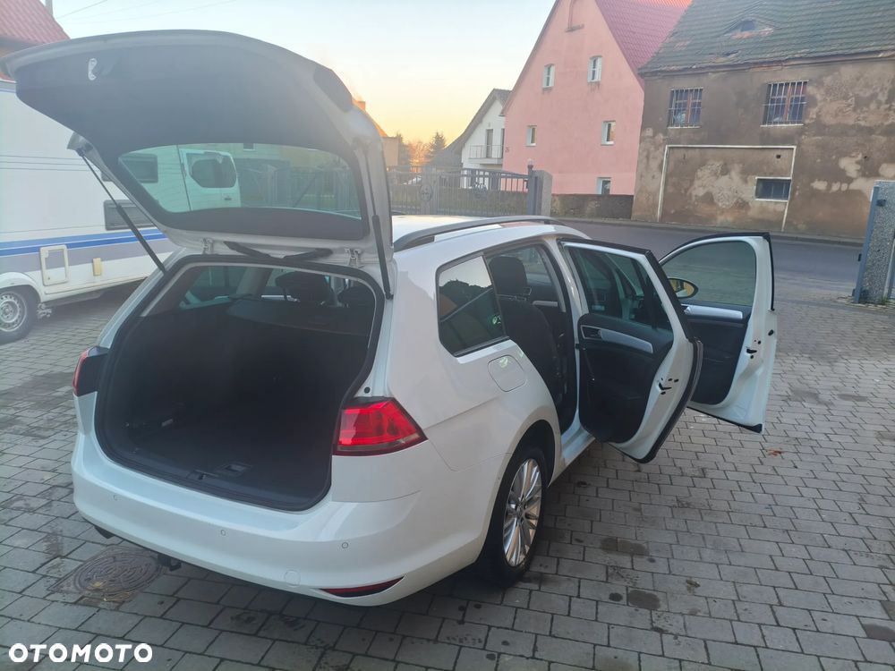 Volkswagen Golf 1.6 TDI BlueMotion Technology Cup - 14