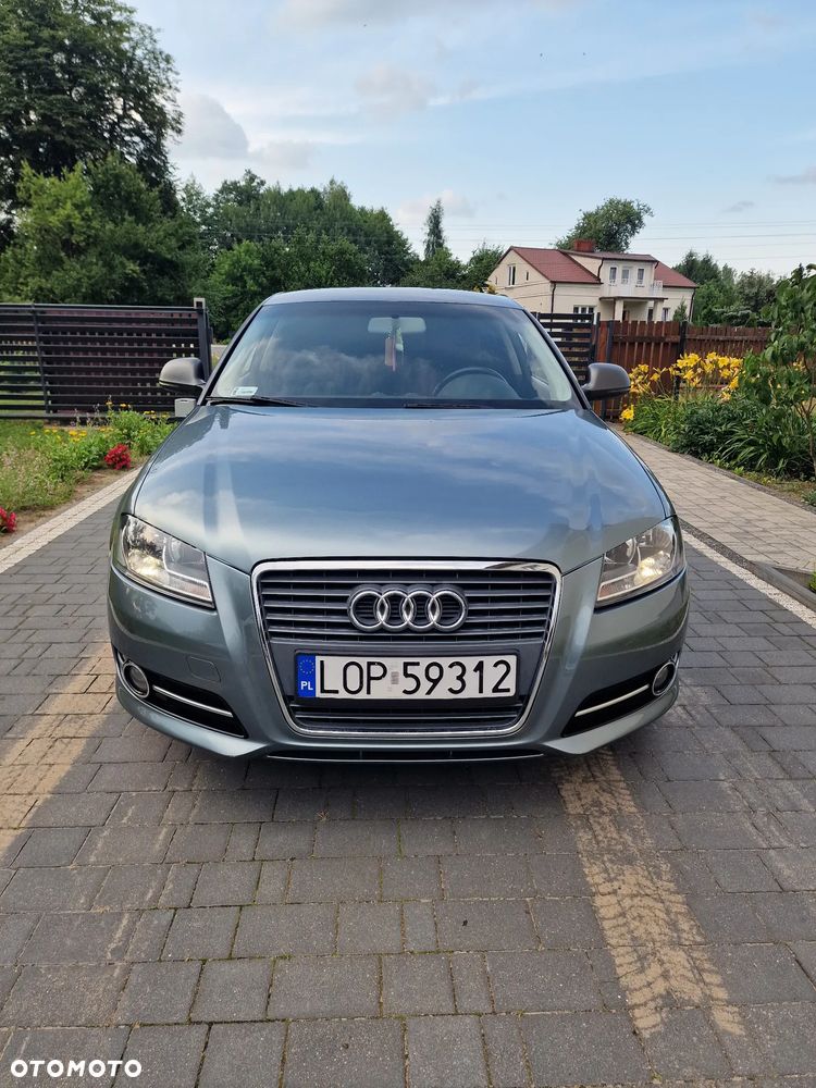 Audi A3 3-drzwiowe 1.9 TDI Ambiente - 10