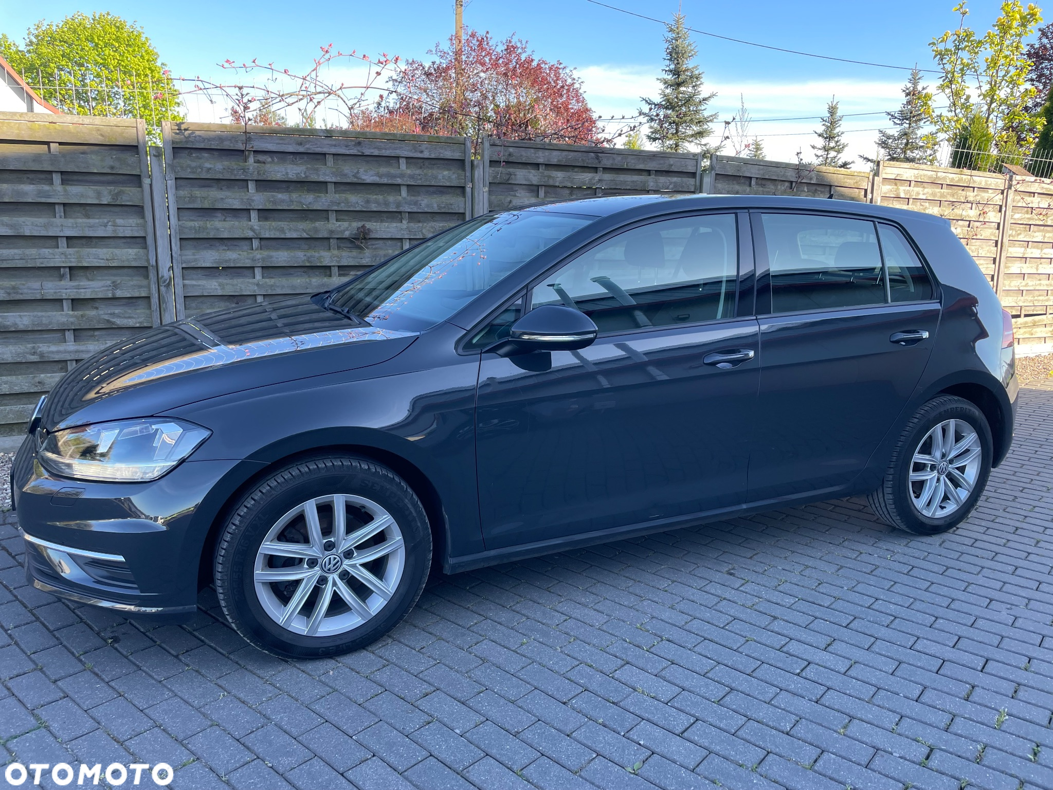Volkswagen Golf - 4