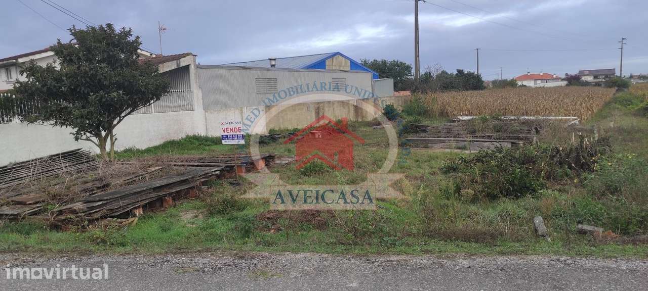 TERRENO COM 20m DE FRENTE PARA MORADIA - Grande imagem: 4/5
