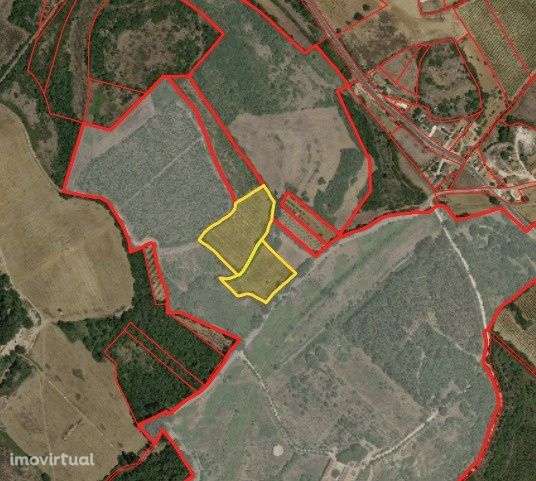 Terreno rústico 1,18 ha c/ estrada – Carnota / Alenquer - Grande imagem: 2/4