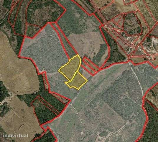 Terreno rústico 1,18 ha c/ estrada – Carnota / Alenquer - Grande imagem: 2/4
