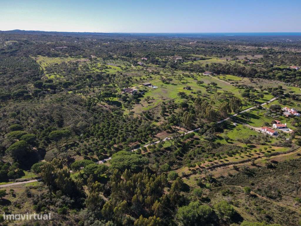 Terreno Exclusivo de 32 Hectares no Carvalhal - Grande imagem: 3/6