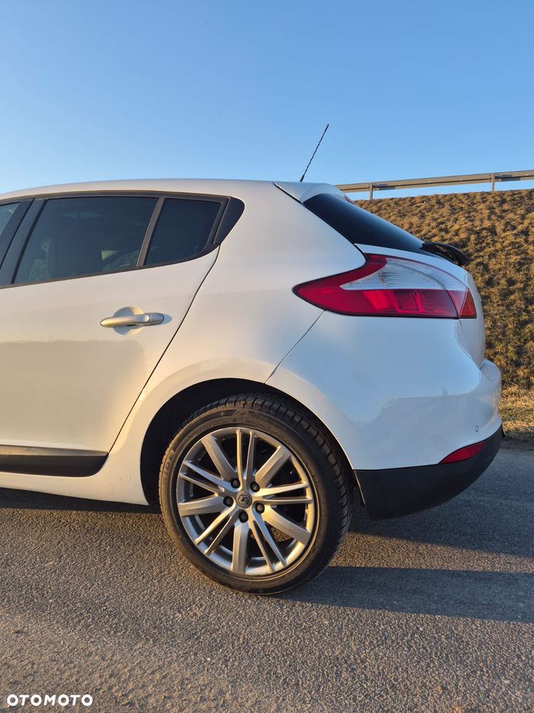 Renault Megane 1.9 dCi Color Edition - 11