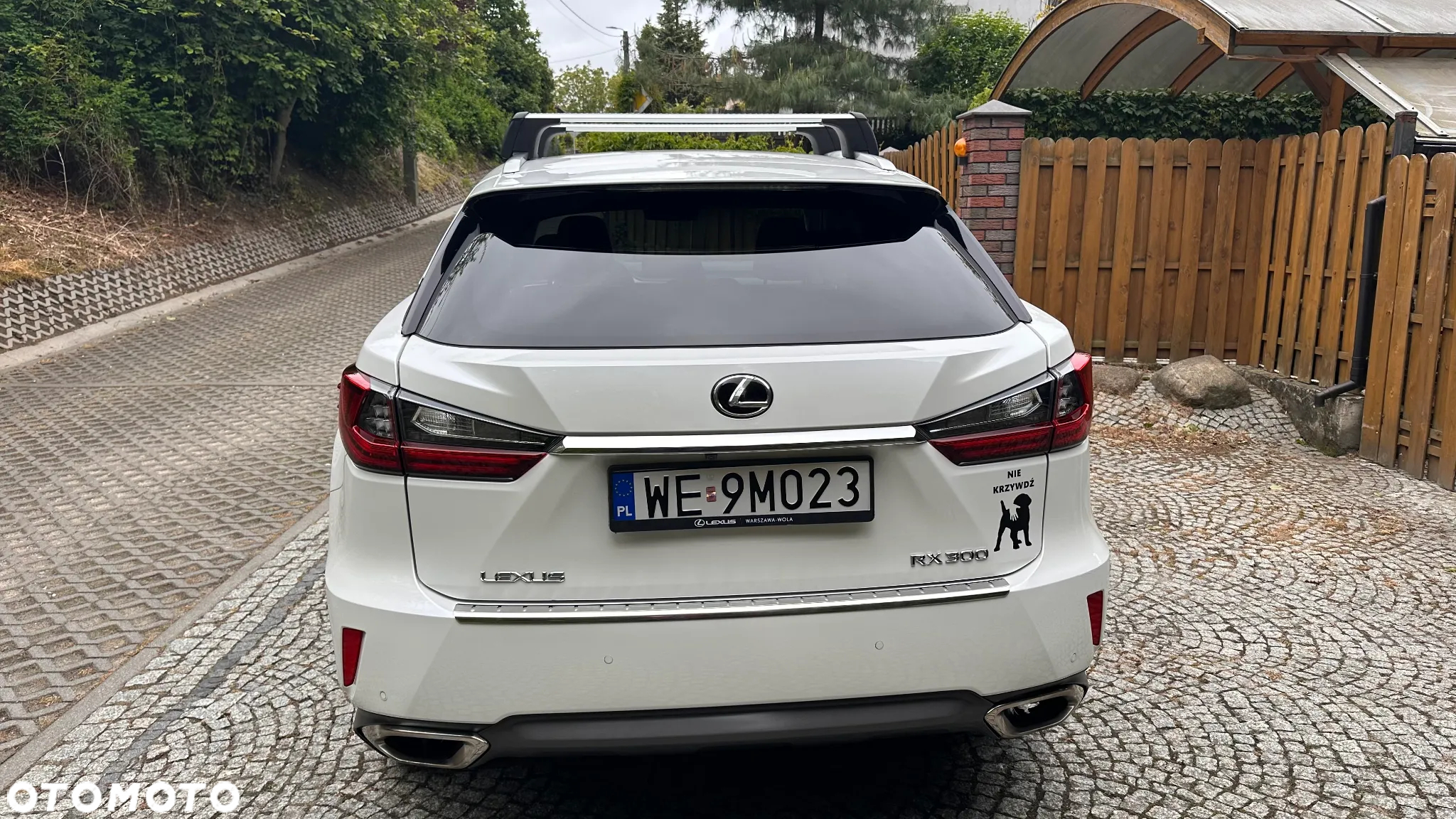 Lexus RX 200t / 300 Elegance MY19 - 3