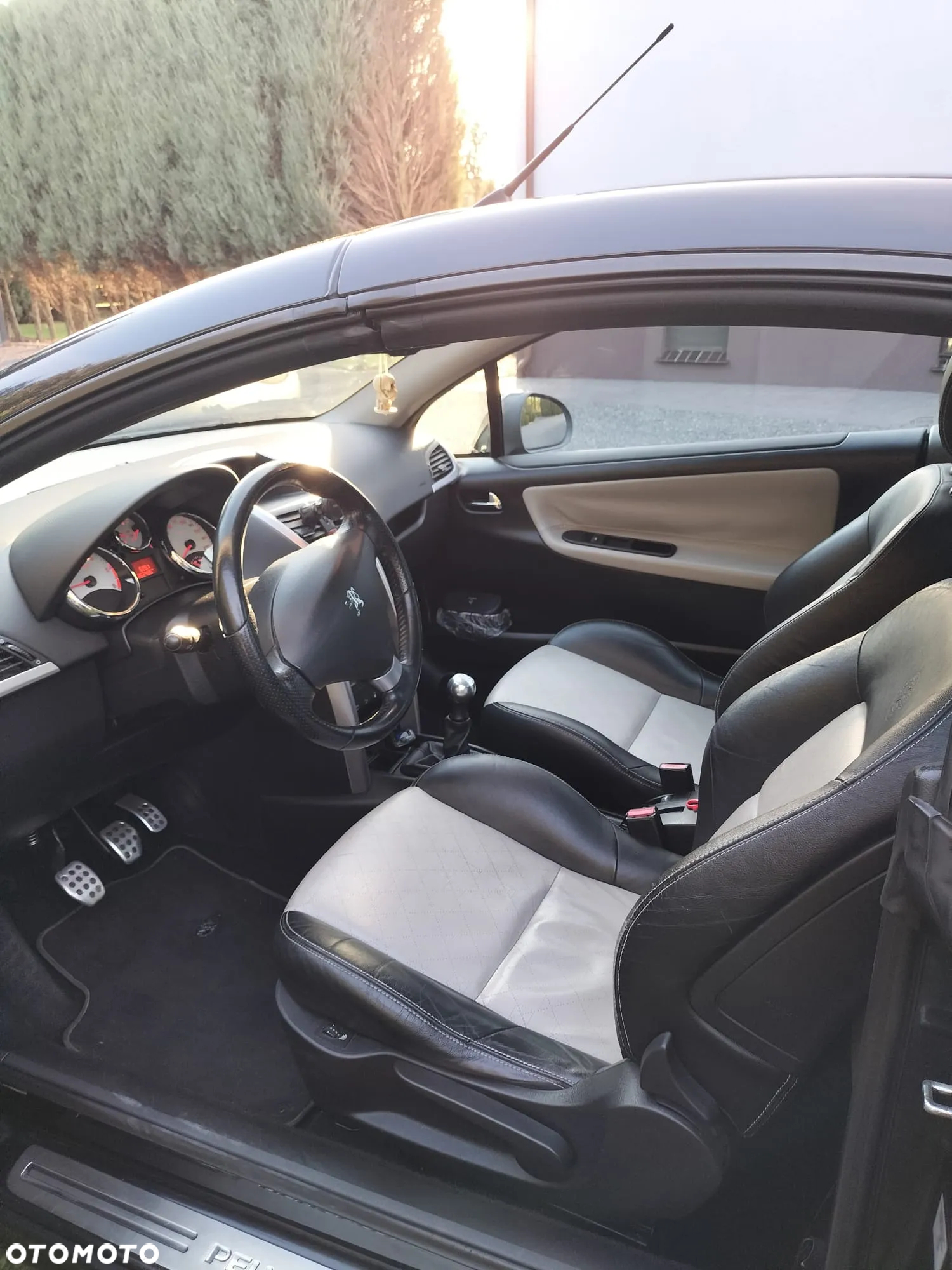 Peugeot 207 CC FAP 110 (Blue Lion) Roland Garros - 11