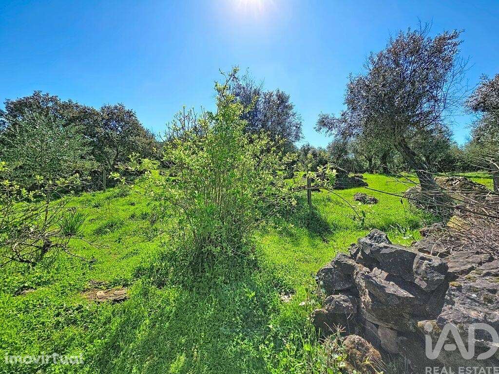 Quinta T4 em Rio de Moinhos de 334 m2 - Grande imagem: 4/35