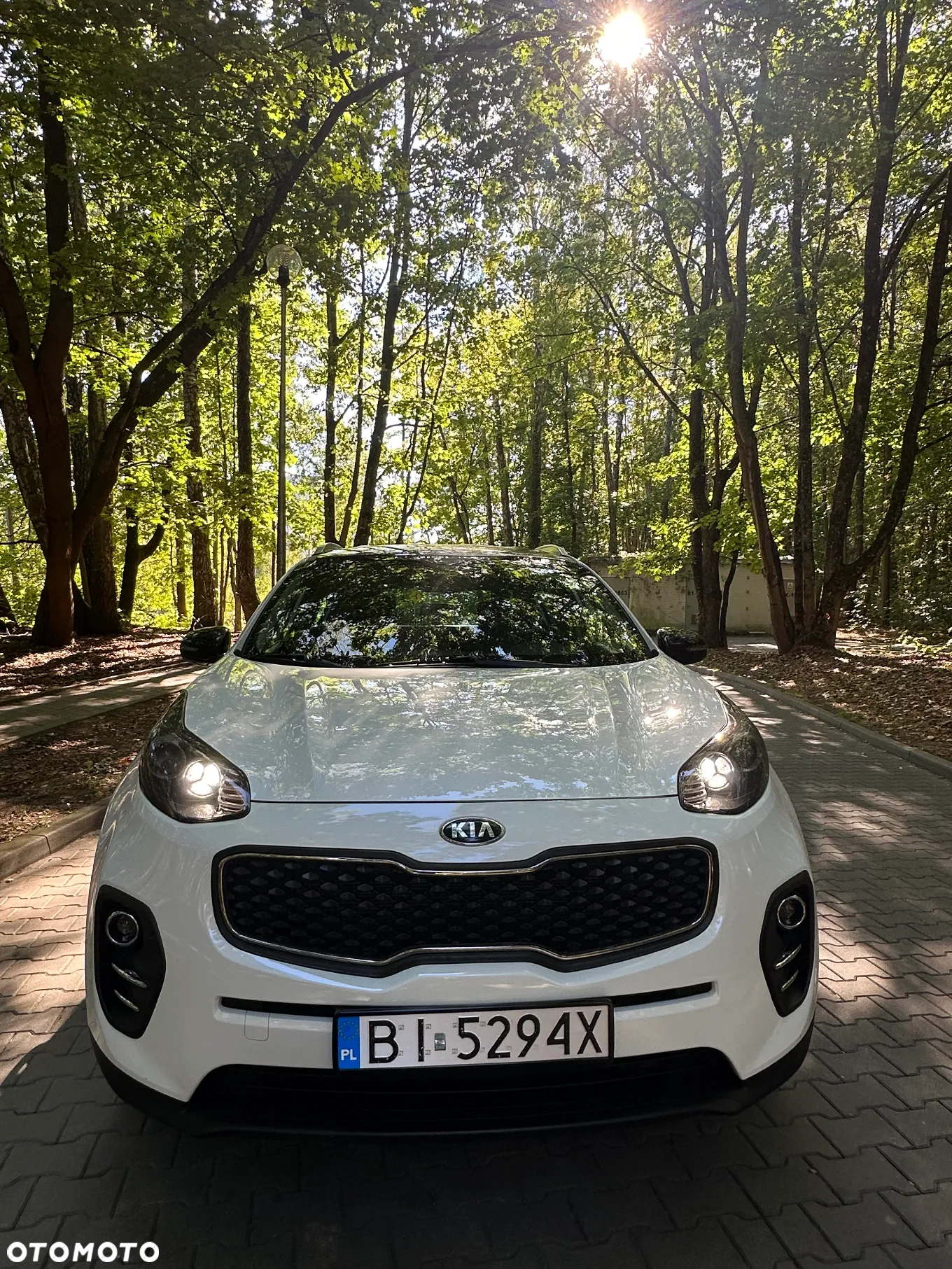 Kia Sportage 1.6 GDI Business Line 2WD - 29