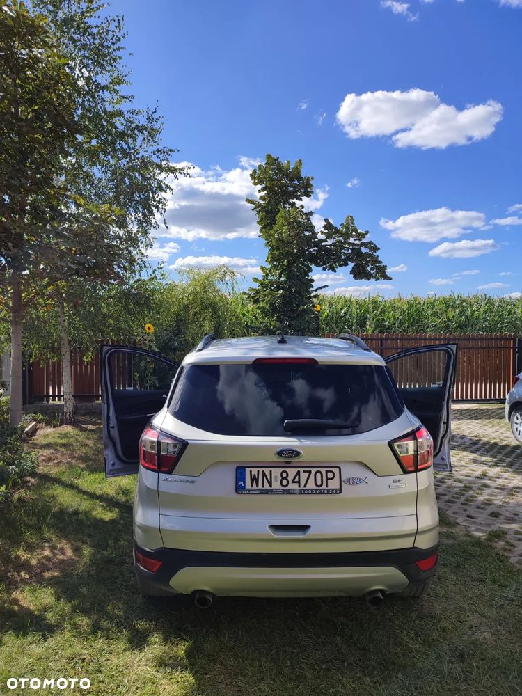 Ford Escape - 7