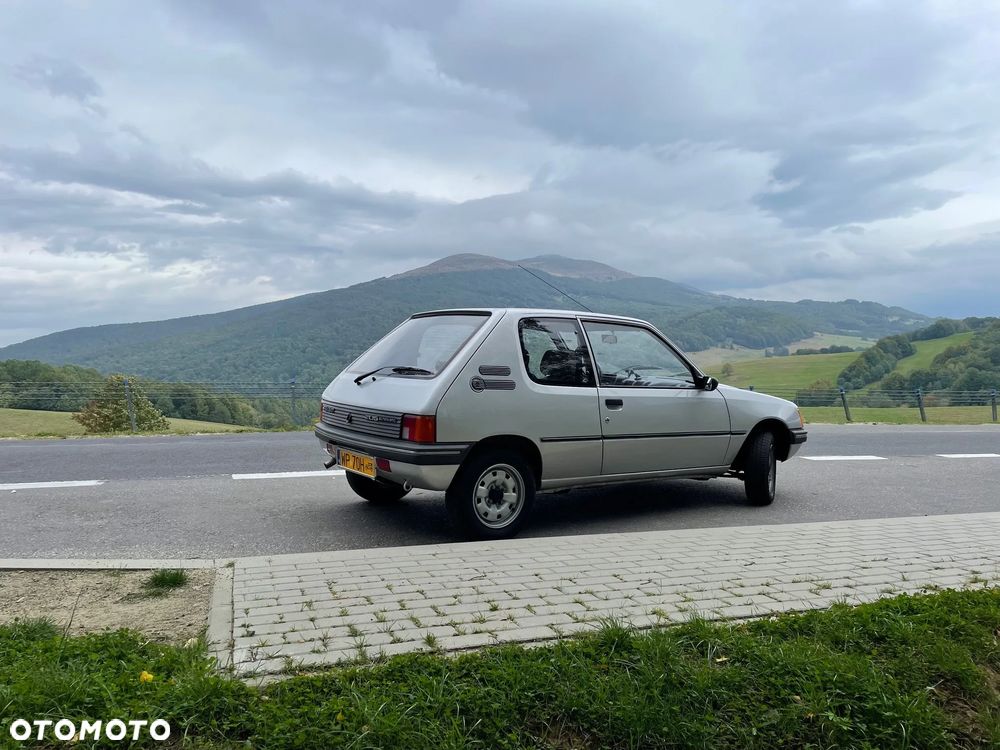 Peugeot 205 - 15