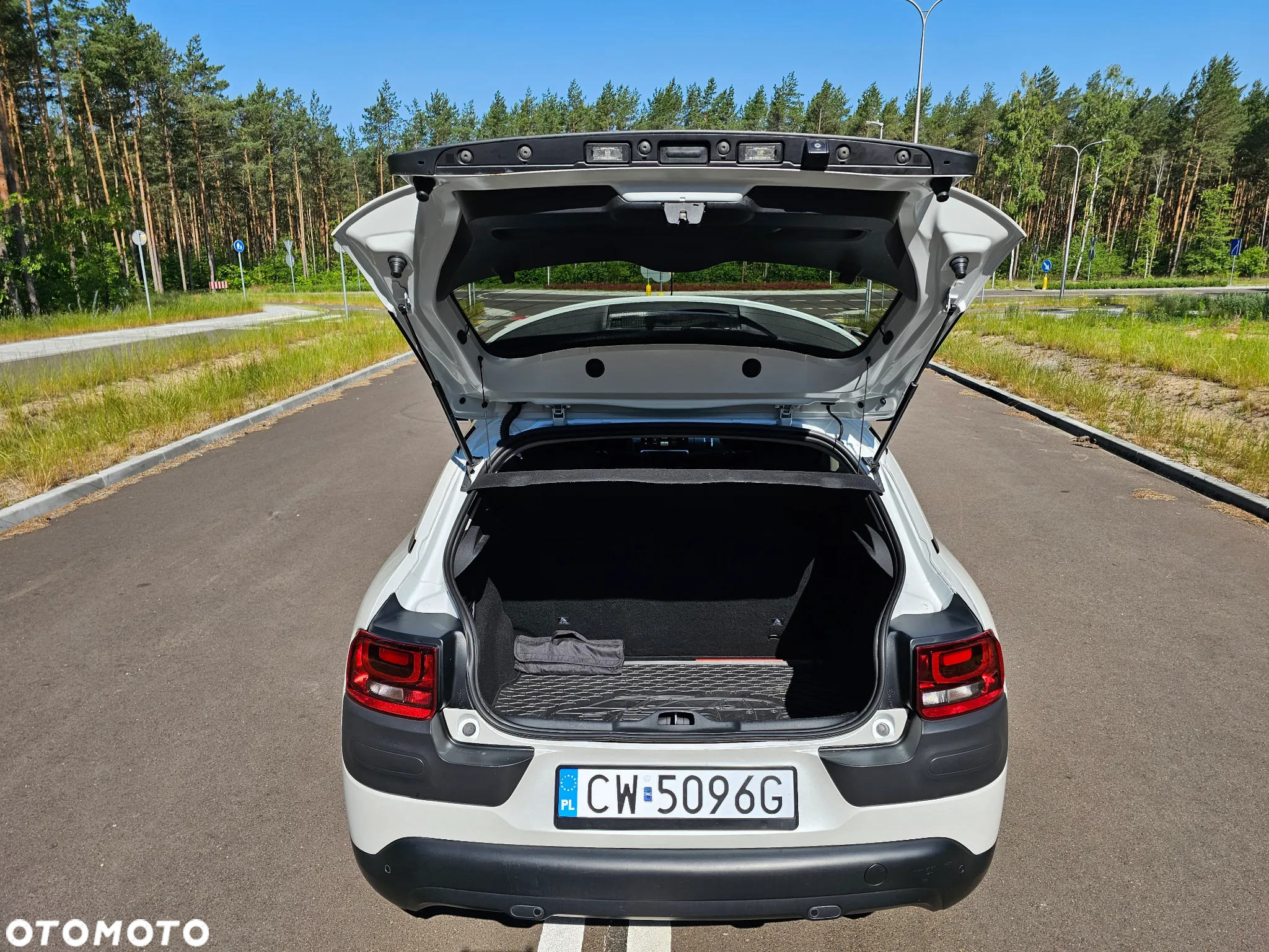 Citroën C4 Cactus 1.6 BlueHDi Shine - 19