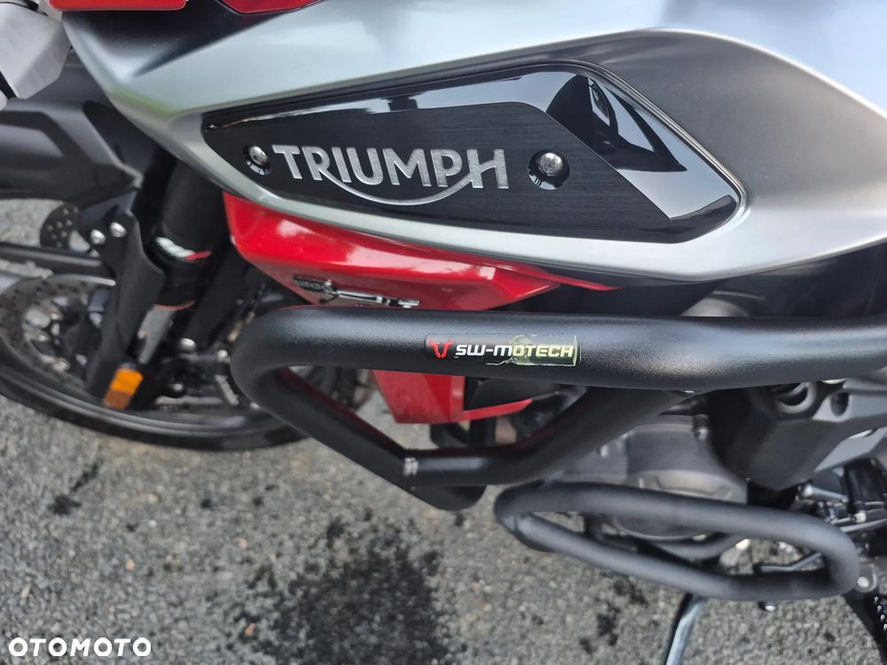Triumph Tiger - 19