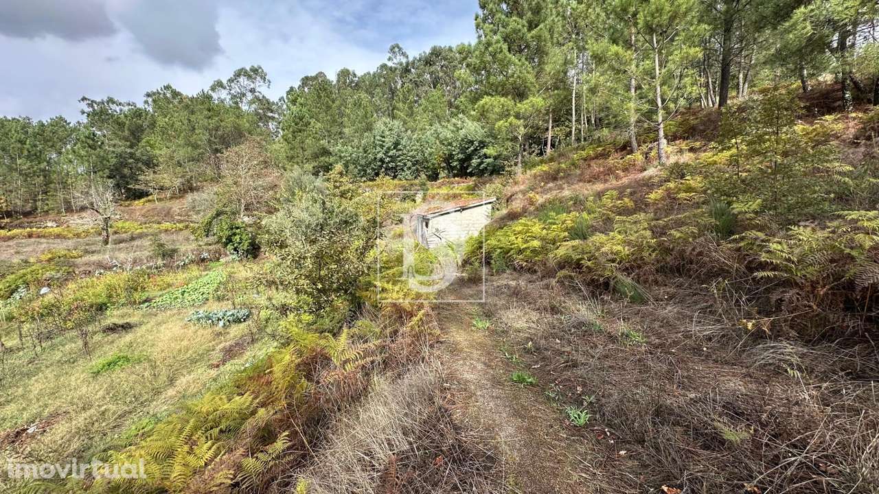 Terreno  Venda em Padronelo,Amarante - Grande imagem: 2/15