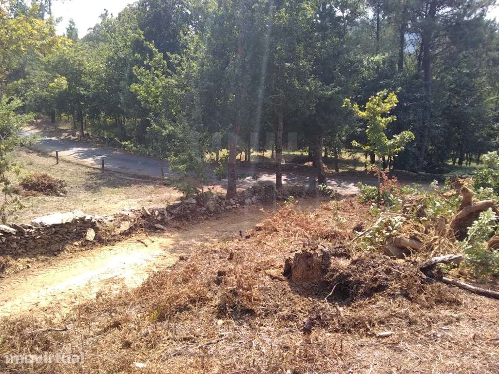 Lote de terreno urbano para construção em Nogueira - Grande imagem: 3/11