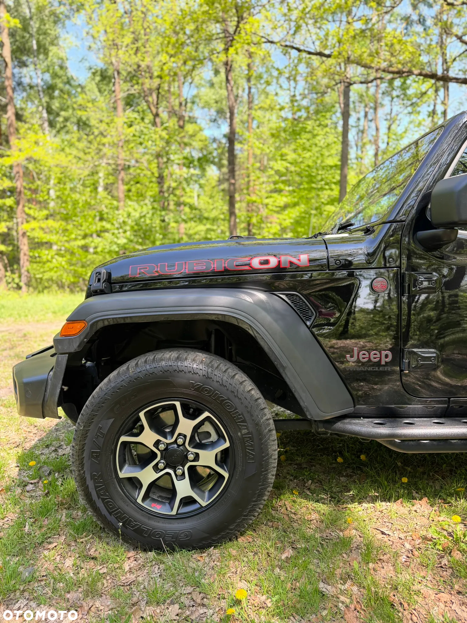 Jeep Wrangler GME 2.0 Turbo Rubicon - 8
