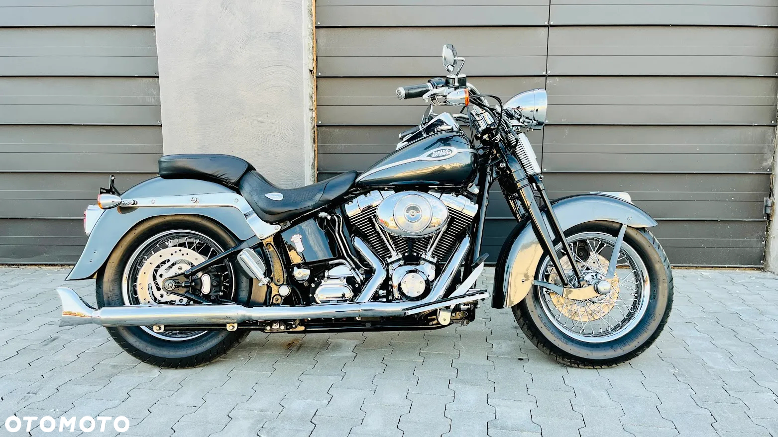 Harley-Davidson Softail Springer Classic - 9