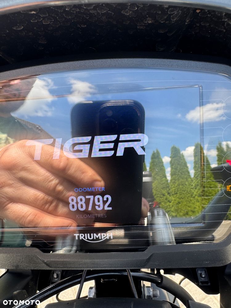 Triumph Tiger - 8