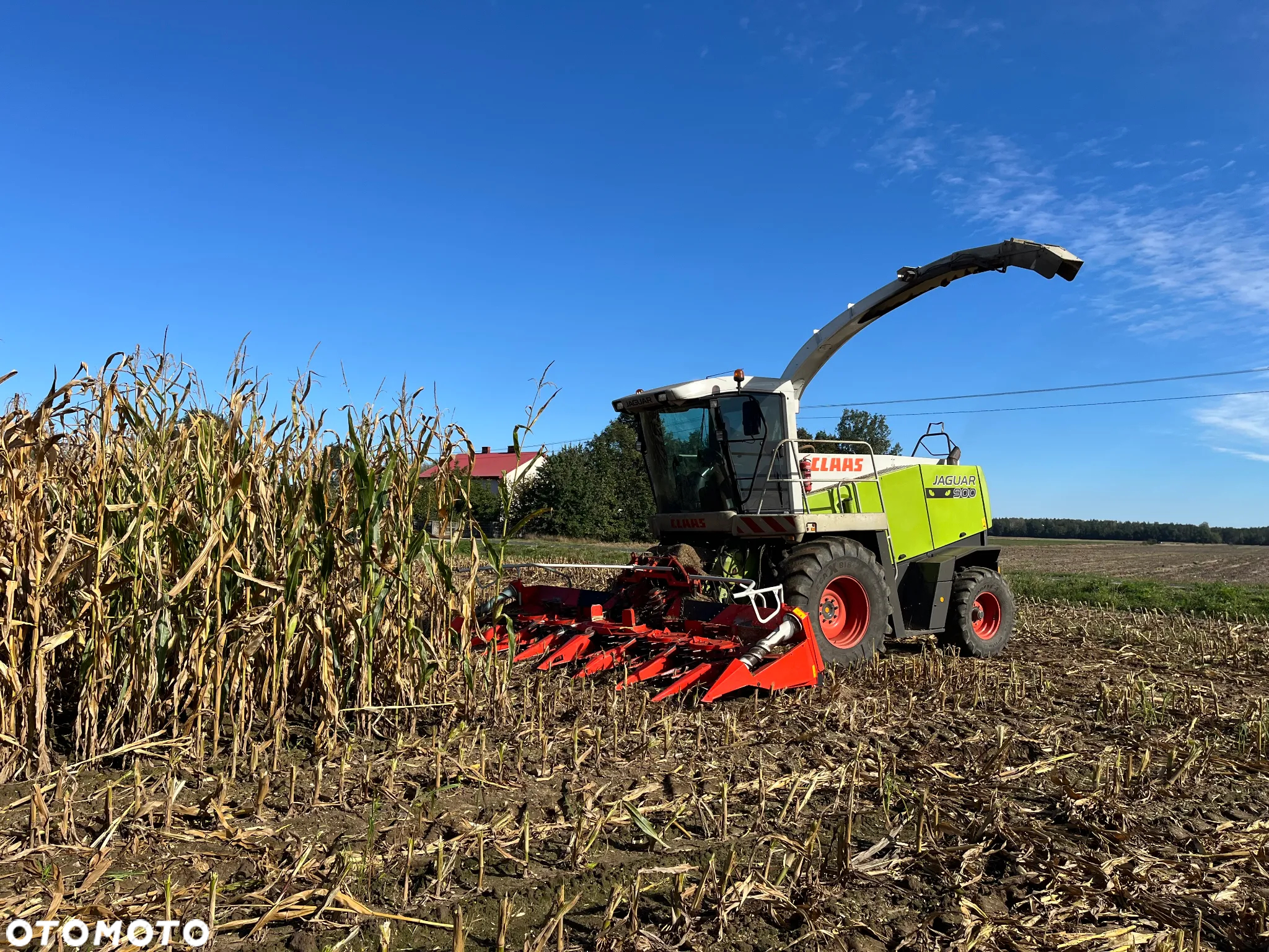 Claas Jaguar 900 ProfiStar - 2