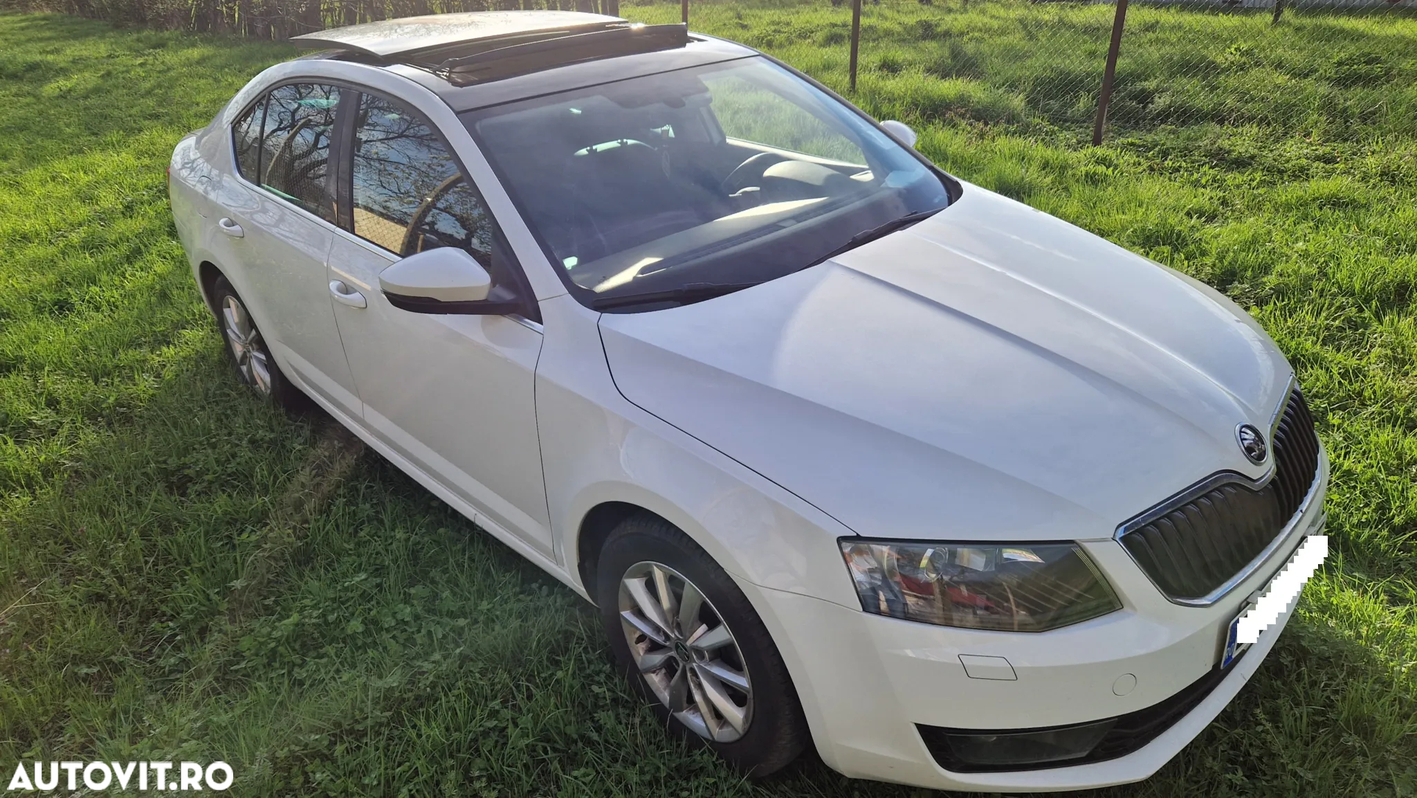 Skoda Octavia 1.4 TSI ELEGANCE - 11