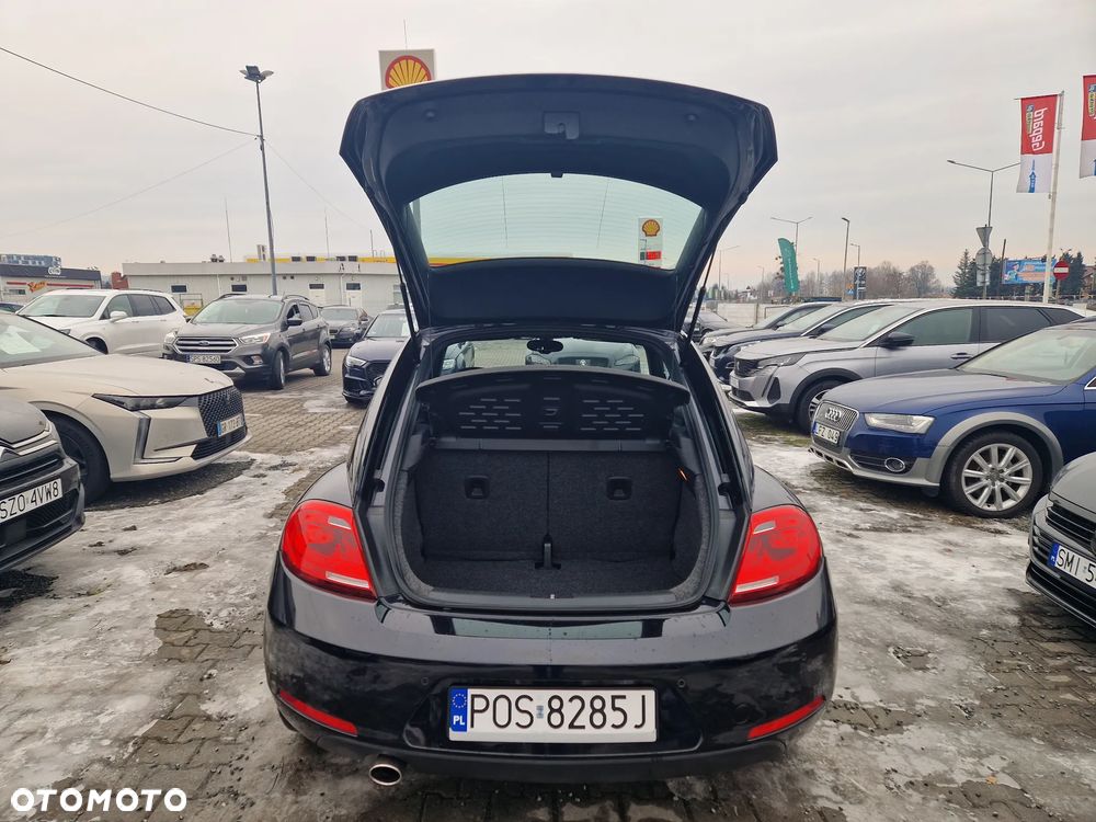 Volkswagen Beetle - 8