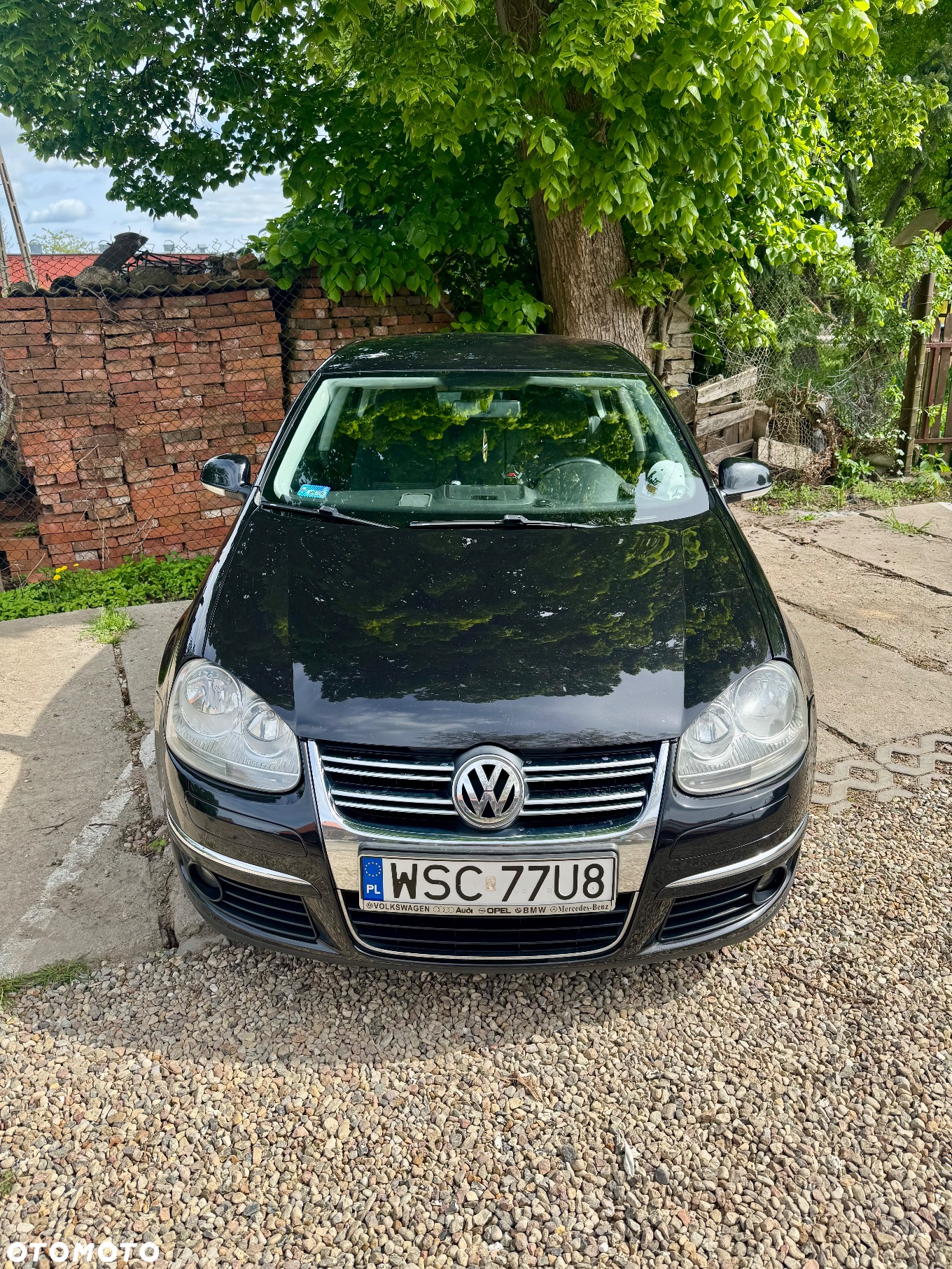 Volkswagen Jetta - 3
