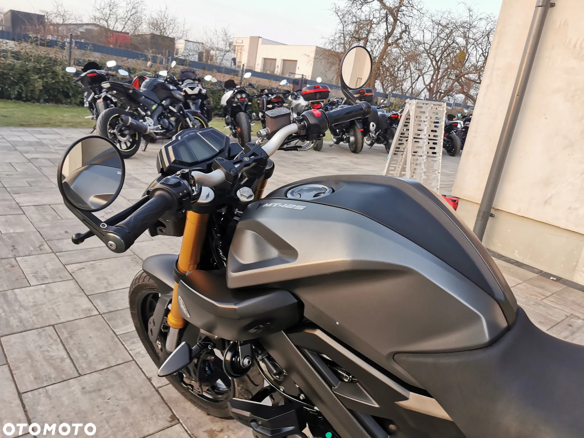 Yamaha MT - 9