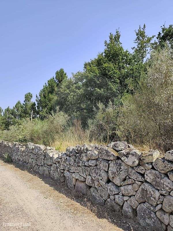 Terreno  para venda - Grande imagem: 2/10