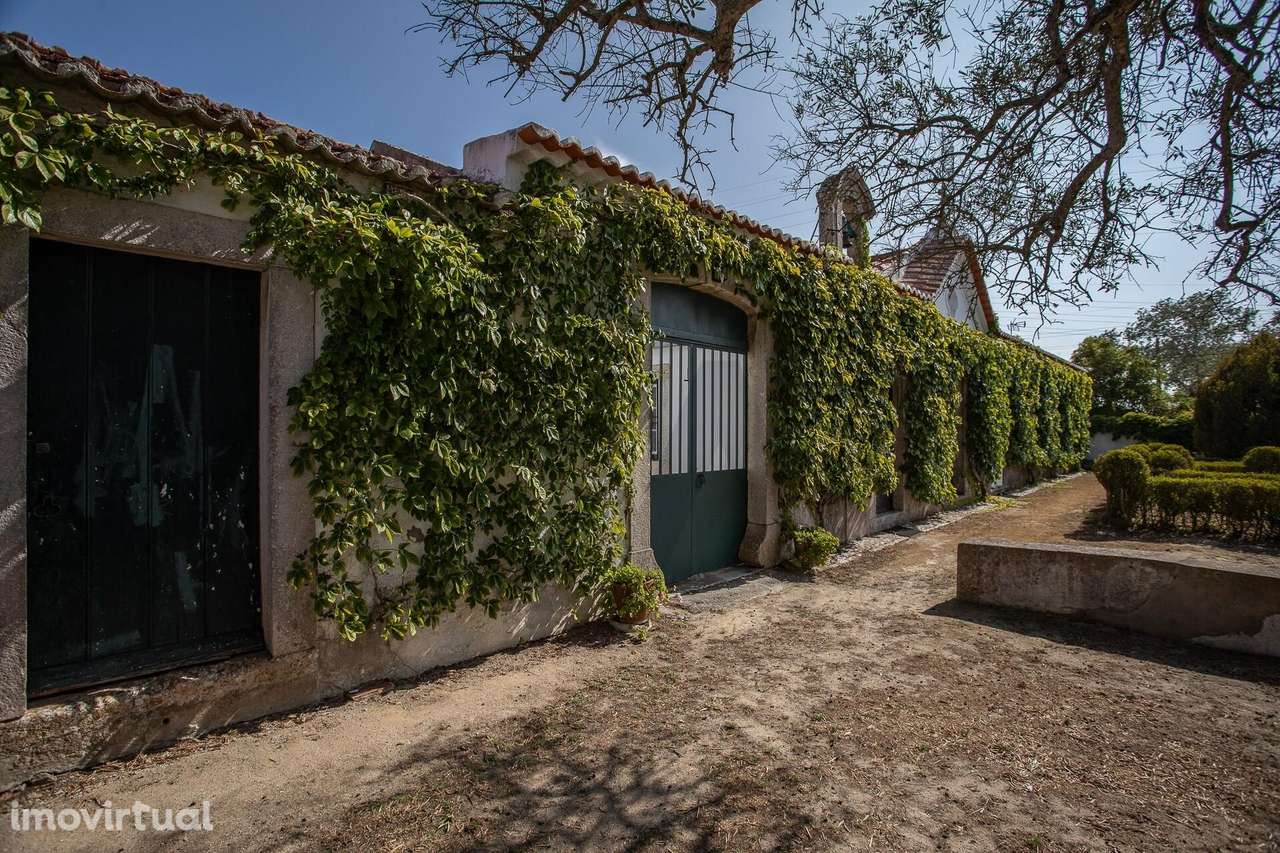 Quinta na freguesia da Trafaria - Grande imagem: 3/60
