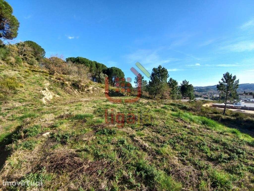 Lote p/Construção - Ourém - Grande imagem: 2/5