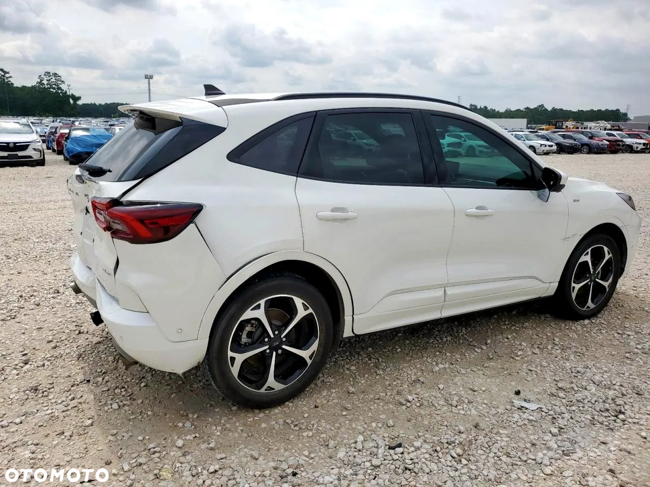 Ford Escape - 4