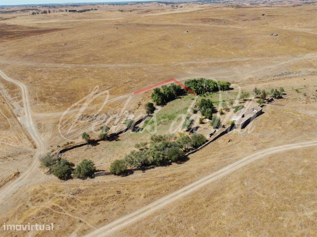 Propriédade de 119ha com varias ruinas - Castro Verde - Grande imagem: 2/48