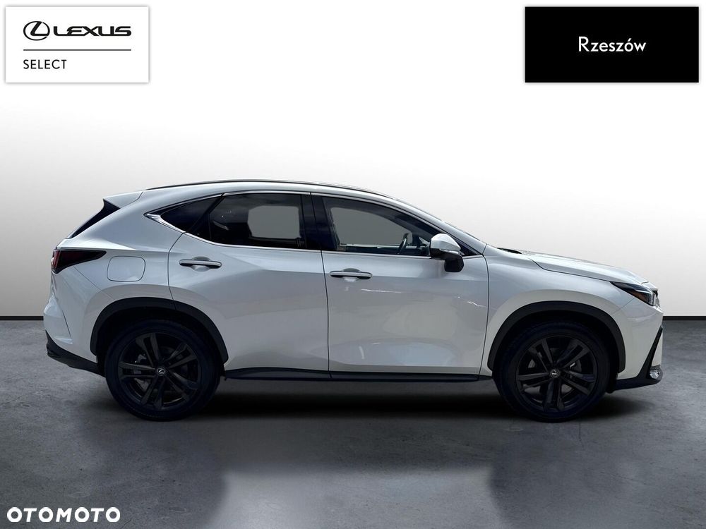 Lexus NX - 6