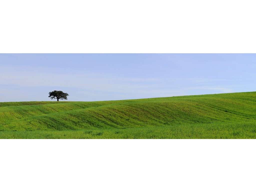 INVESTIMENTO: Herdade no Cercal junto a Barragem - Grande imagem: 3/29