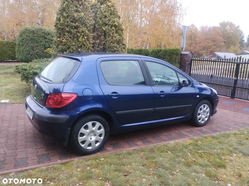 Peugeot 307 - 7