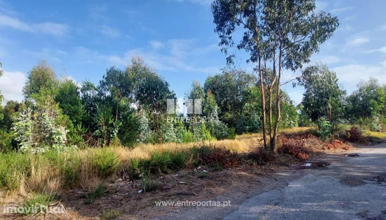 Venda de terreno florestal c/ 12000m², Vila Fria, Viana do Castelo - Grande imagem: 4/30